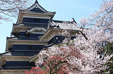 松本城 ～.matsumoto-castle～